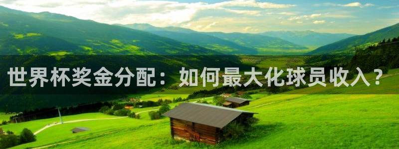 2026年世界杯时间表：世界杯奖金分配：如何最大化球员收入？