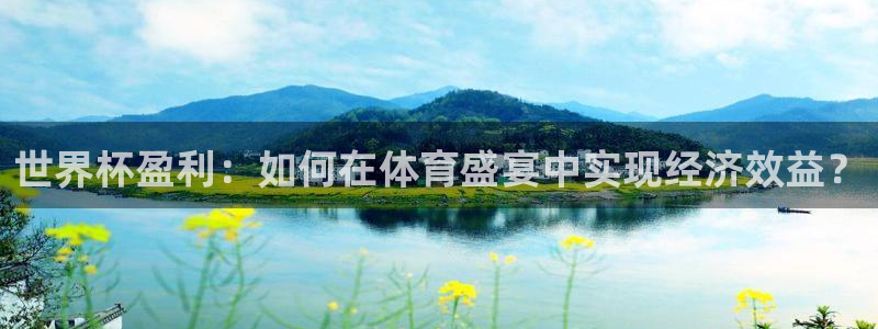 足球世预赛：世界杯盈利：如何在体育盛宴中实现经济效益？