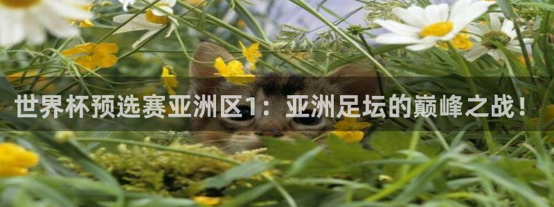 足球世界杯赛程：世界杯预选赛亚洲区1：亚洲足坛的巅峰之战！