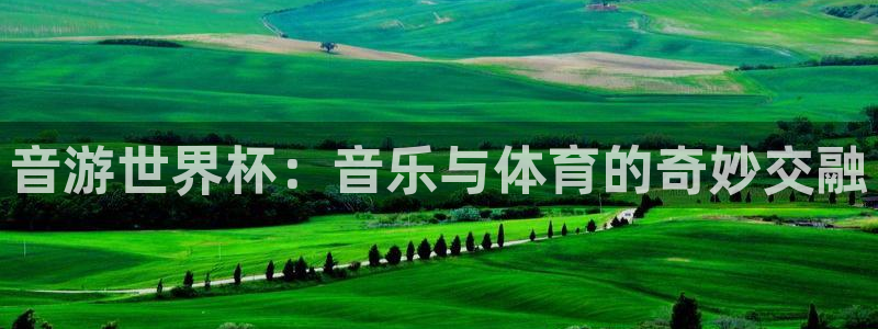 世界杯球队：音游世界杯：音乐与体育的奇妙交融