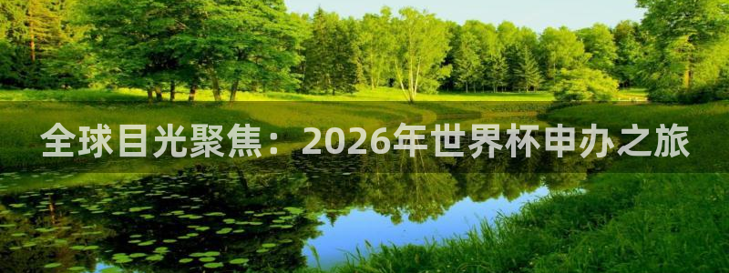 世界杯直播高清：全球目光聚焦：2026年世界杯申办之旅